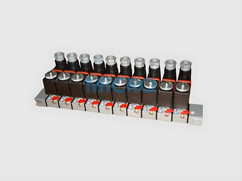 Bank Valve - Manifold Valve Assembly