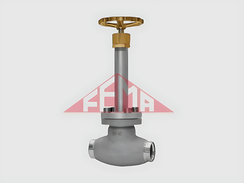 VDF6355 - Cryogenic Globe Valve