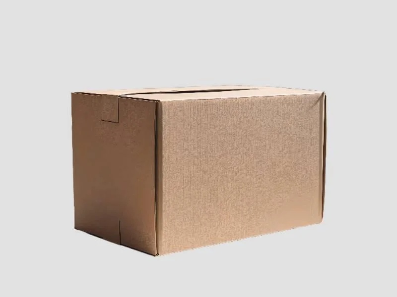22x18x12 Inch Plain Carton Box
