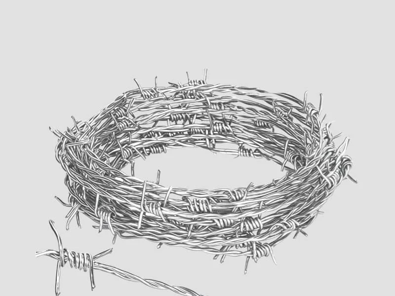  12 SWG Galvanized Iron  Barbed Wire for Security Fencing