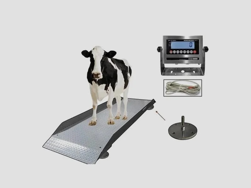 Animal Weighing Scale