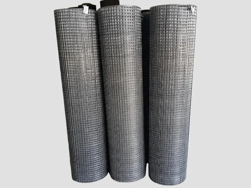 Half - Inch Weld Mesh Gi 2.1mm 5 Feet