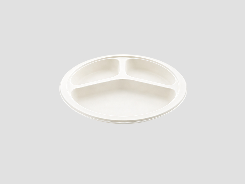 Bagasse