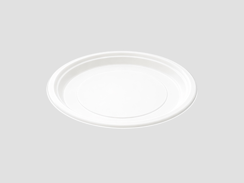 10 Inch Plain Round Plate For Food Serving And Dining Applications