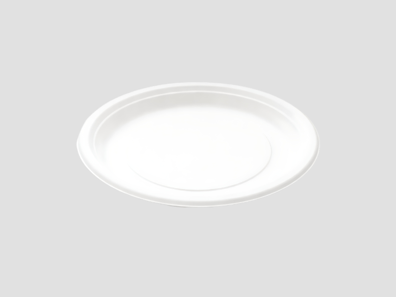 12 Inch Plain Super Round Plate For Food Serving And Dining Applications