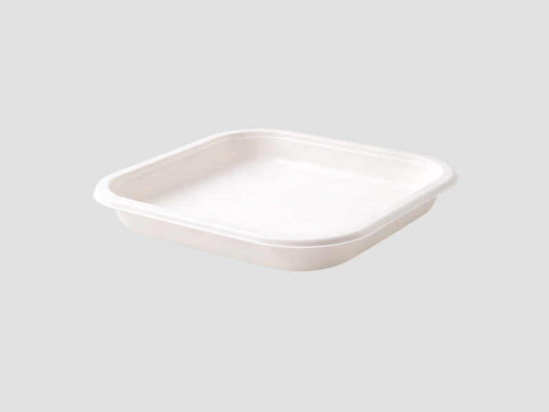 7 Inch Square Plate For Food Serving And Catering Applications