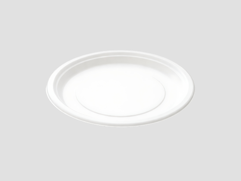 9 Inch Plain Round Plate For Food Serving And Dining Applications