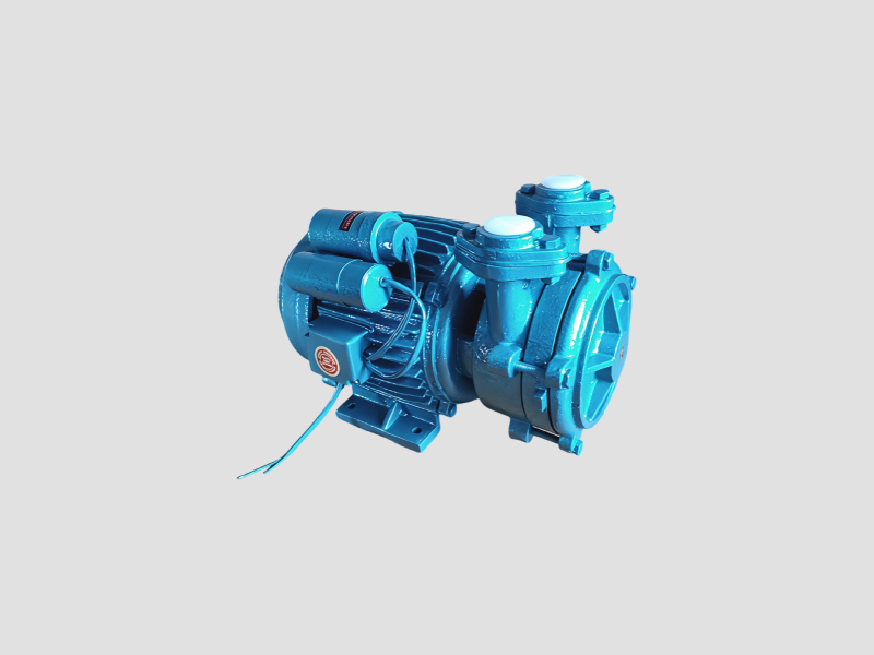 Self Priming Monoblock Water Pump with Dual Capacitor Motor