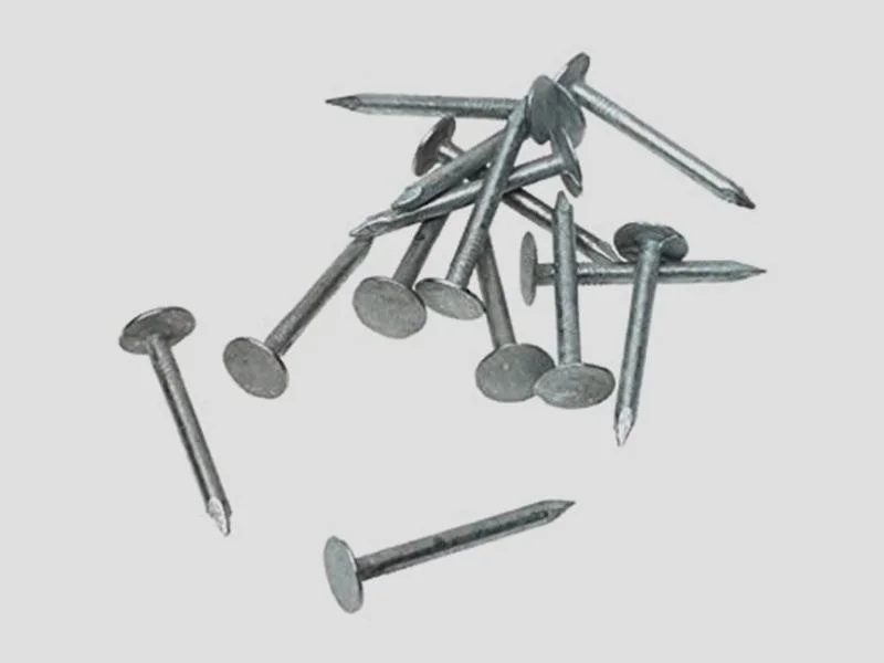 Roofing Nails Galvanized Steel for Shingles Felt Tiles and Sheet Metal