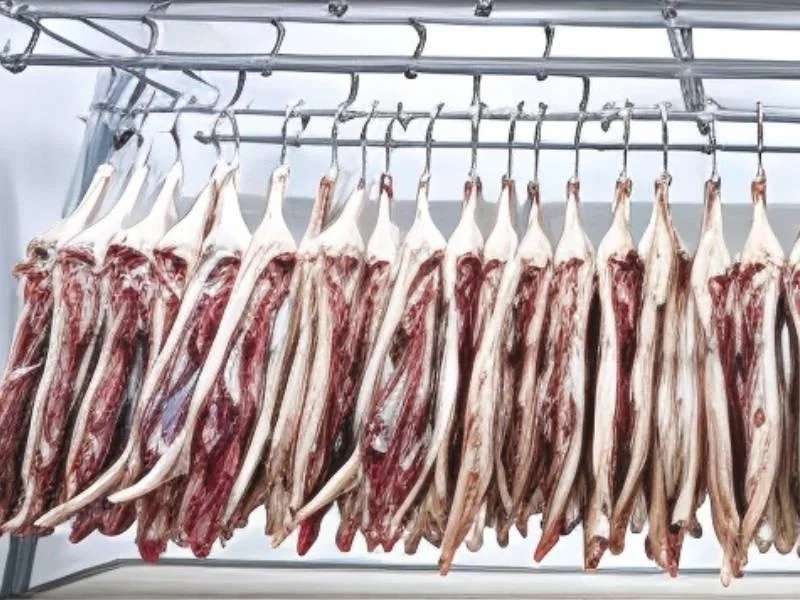 Temperature Controlled Cold Storage Unit for Meat Processing Industry