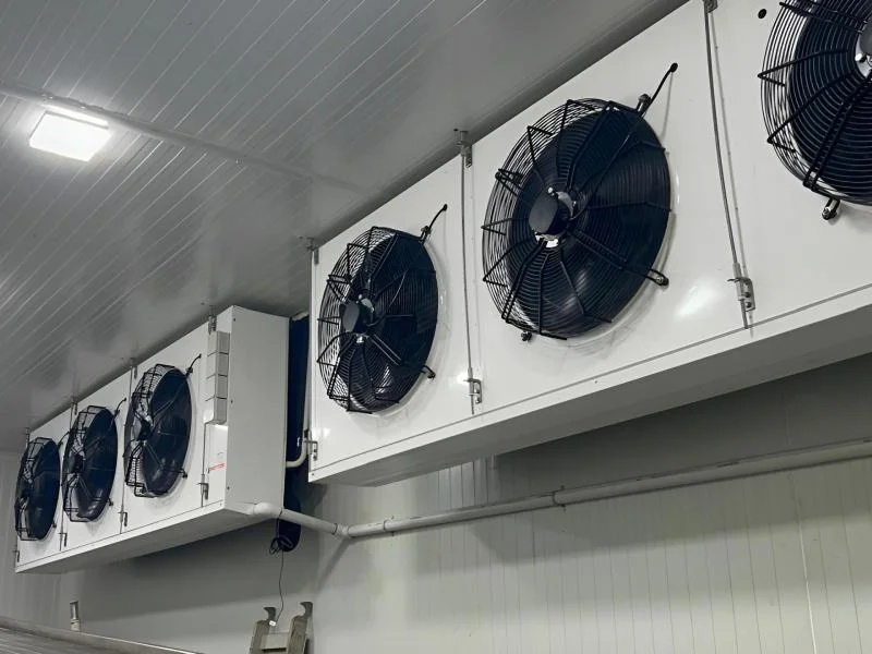 Cold Storage Room Temperature Controlled Storage For Food And Pharma 