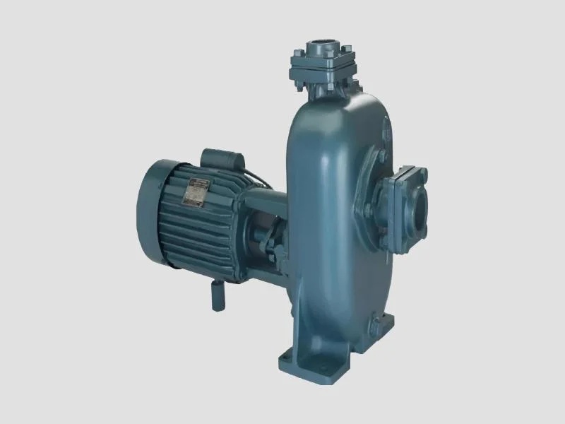 Waste Water Sewage Pumps