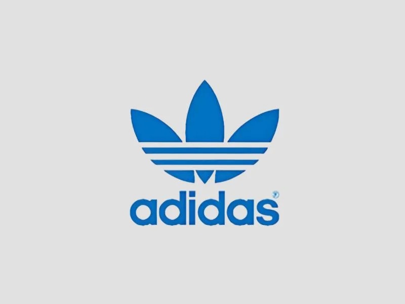 Adidas Social Responsibility Compliance And Performance Review