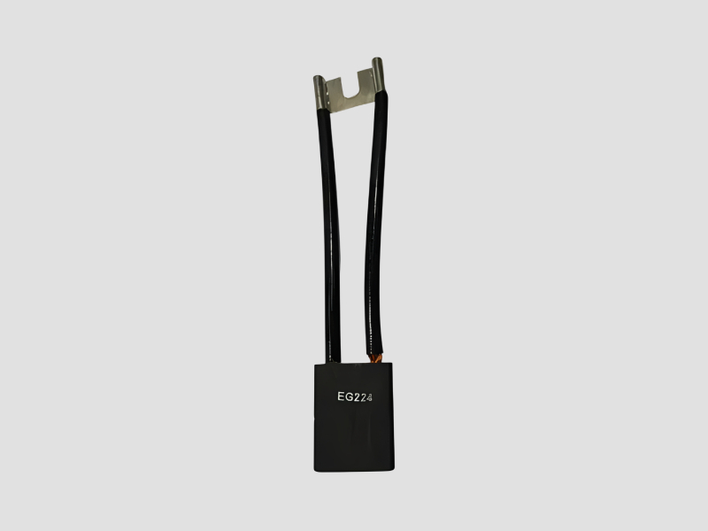 EG 224 Carbon Brush