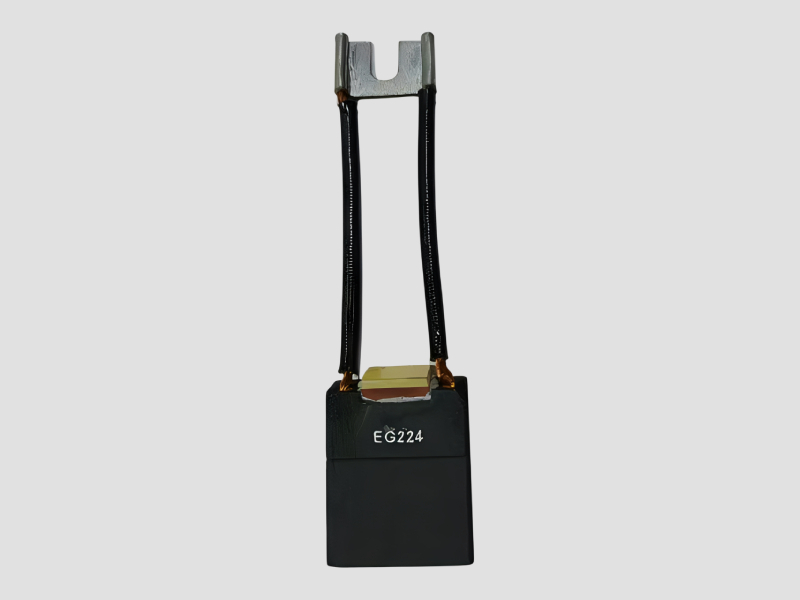 EG 224 Carbon Brush Special Type