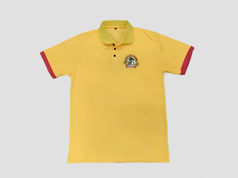 Men Collar T-Shirt For Stylish Casual And Daily Wear