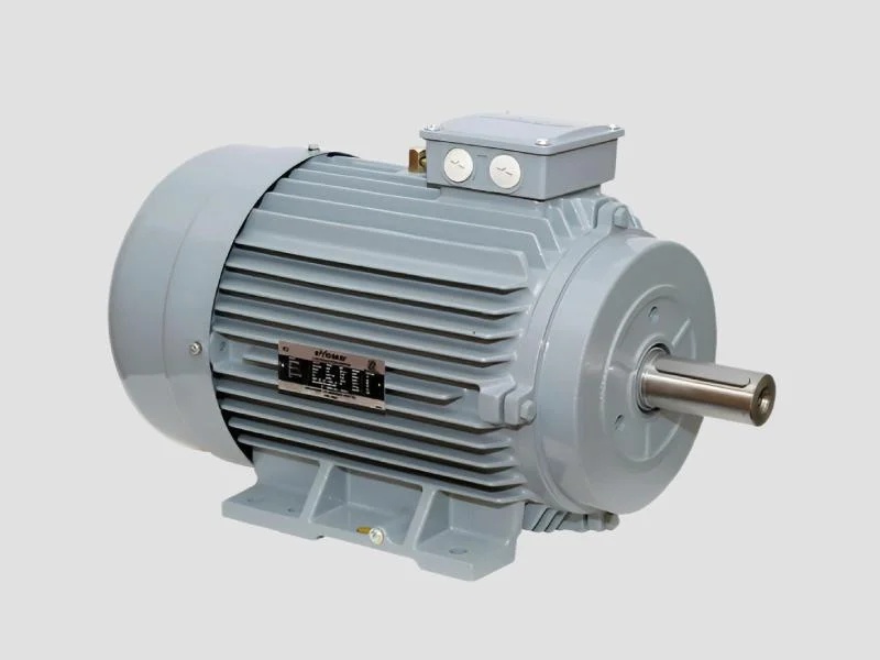 Low Voltage Induction Motors for Industrial Applications