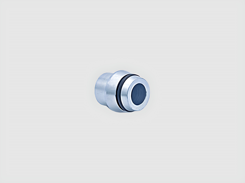 Blanking Plugs For Sealing and Closure Applications