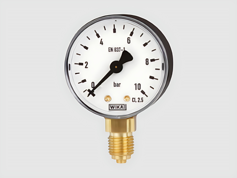 Bourdon Pressure Gauge Model 111.10 For Industrial Measurement