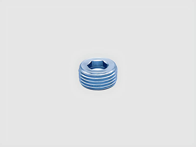 Socket Plugs