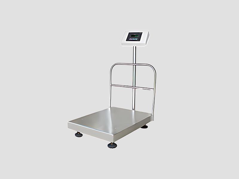 Essae DS-215HD Industrial Platform Scale For Bulk Weighing