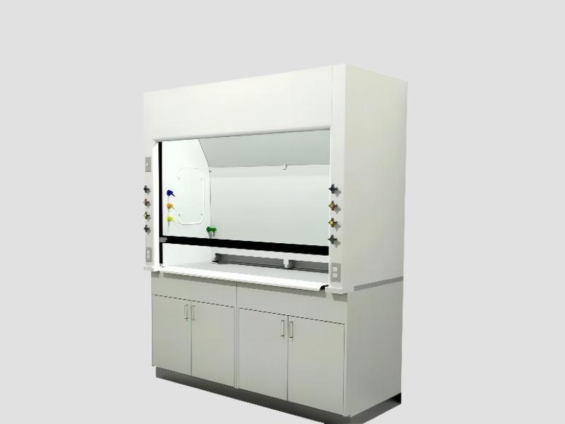 Double Door Chemical Fume Hood High Capacity For Industrial Labs