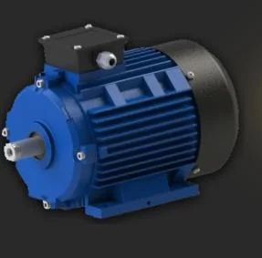 Dual Speed Induction Motor Customized Range