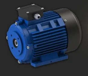 Hollow Shaft Induction Motor Customized Range