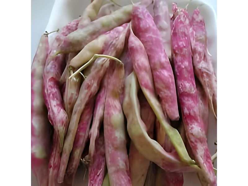 Butter Beans Fresh Lima Beans For Cooking Use