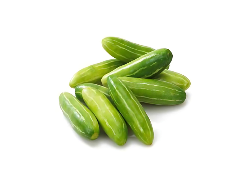Kovakkai Ivy Gourd Fresh Pick for Kitchen Use