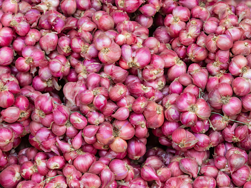Small Onion Fresh Shallots For Traditional Cooking Use