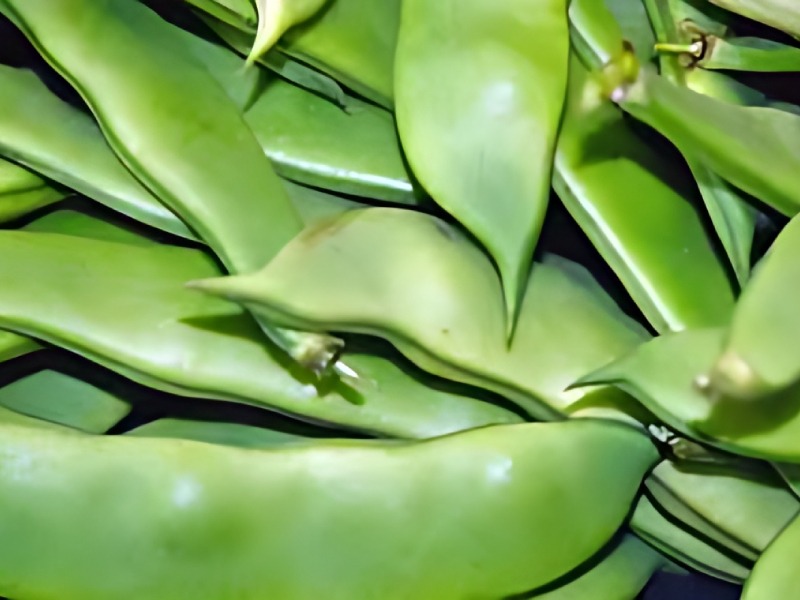 Sona Avarai Premium Broad Beans for Retail and Bulk