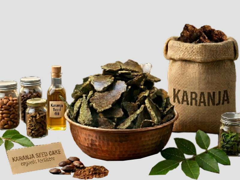Karanja Oil Cake 