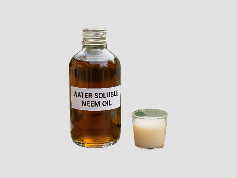 Water Soluble Neem Oil ( WS Oil )