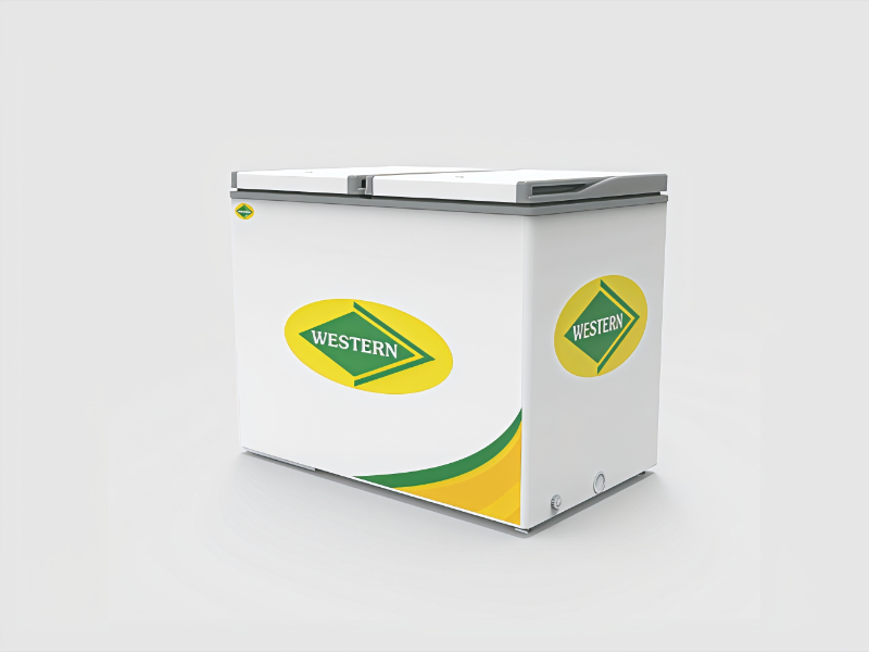 Hard Top Eutectic Deep Freezer E325H220 For Cold Storage