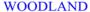 Woodland Chemical Pvt Ltd
