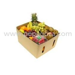MjM3NDY=/mediabank/images/products/FruitBox1008502920_23746.webp