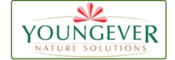 Youngever