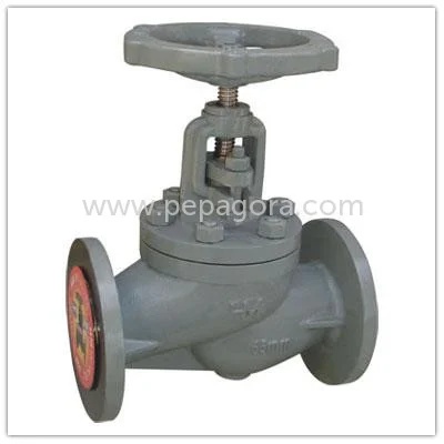 Feed Check Valve 