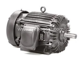 MjQ2MDU=/mediabank/images/products/ElectricMotor422007726_24605.webp