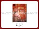 MjU3MjA=/mediabank/images/products/Crane142598235_25720.webp