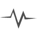 Pacer Power Solutions Private Limited