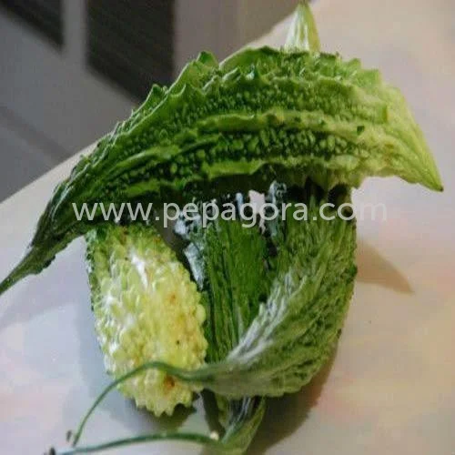 MjY5ODA=/mediabank/images/products/BitterGourd1093864130_26980.webp