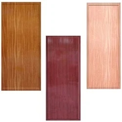 PVC Doors