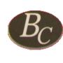 Bombay Cosmetics