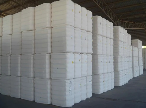 Plain Weave Cotton Fabric