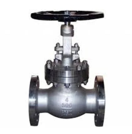 Stainless Steel 304 Globe Valves
