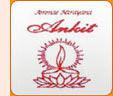 Ankit Equipments (P) Limited