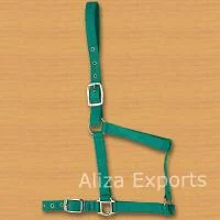 NDc3NA==/mediabank/images/products/NylonWebHalter910619993_4774.webp