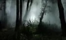 Fogging Treatment